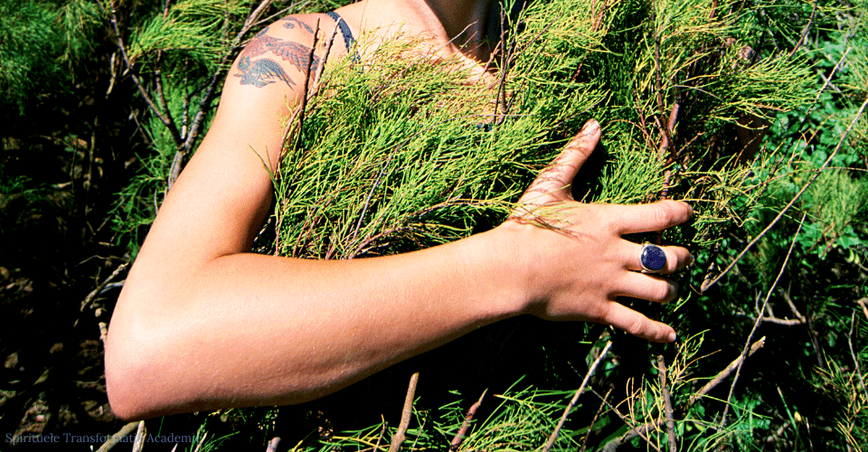 Je emoties omarmen, hoe doe je dat?