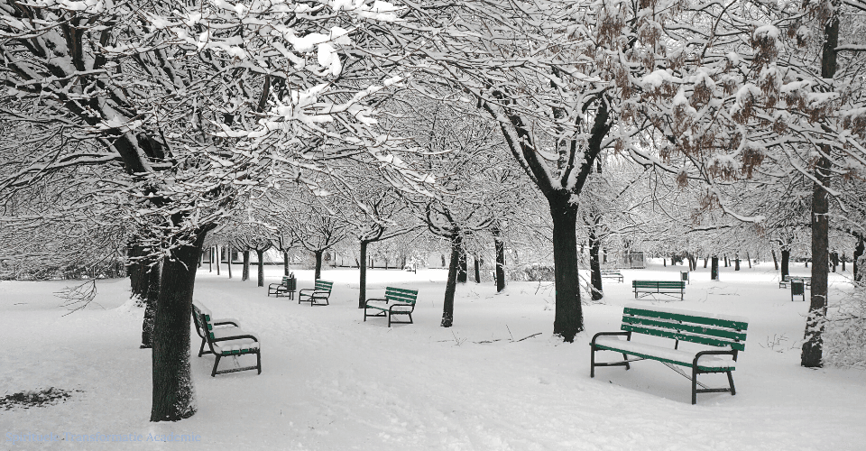 Blog Overwin je Angst Spirituele Transformatie Academie Blog Overwin je Angst Spirituele Transformatie Academie