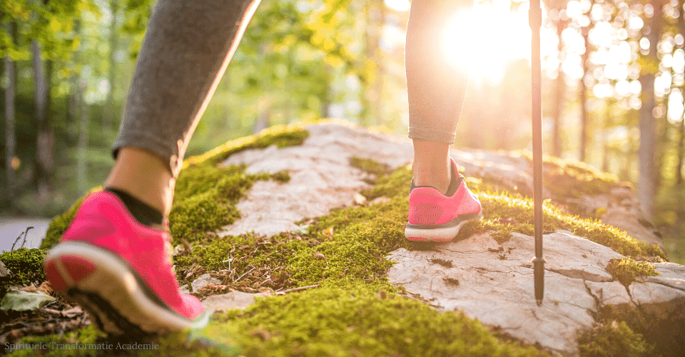 Blog Emoties Omarmen Spirituele Transformatie Academie Blog Emoties Omarmen Spirituele Transformatie Academie