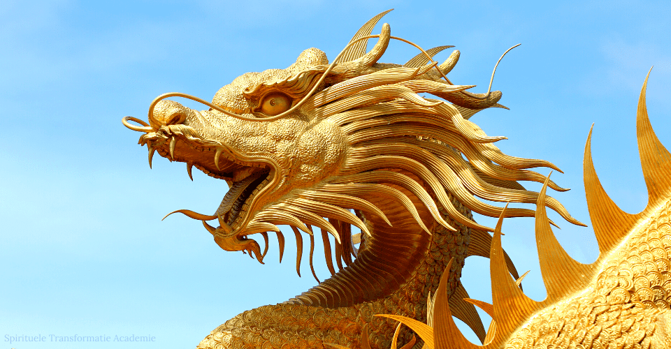 Blog Weten dat je een Lichtwerker bent Spirituele Transformatie Academie 