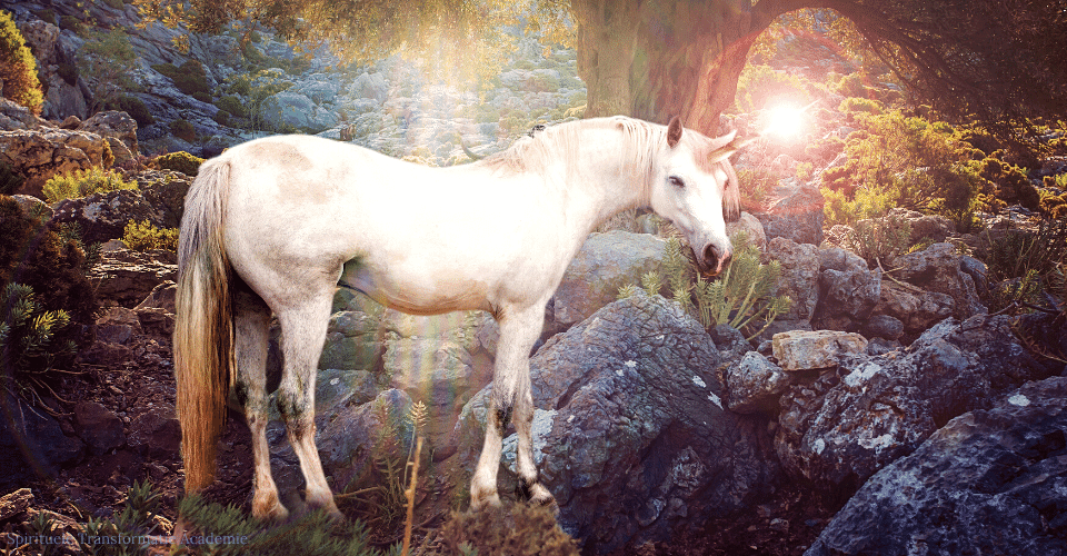 Blog Weten dat je een Lichtwerker bent Spirituele Transformatie Academie 