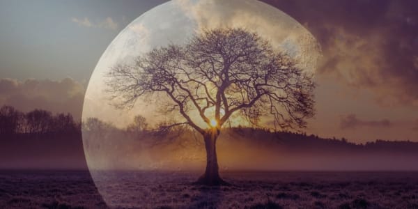 Nieuwe verbinding met de Aarde