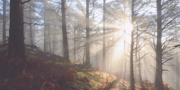 Lichtwerker stukje van de Oplossing Spirituele Transformatie academie