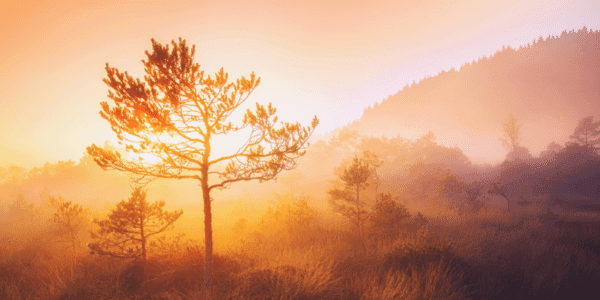 Lichtwerker Blauwdruk Nieuwe Tijd Spirituele Transformatie Academie (1)-min Lichtwerker Blauwdruk Nieuwe Tijd Spirituele Transformatie Academie