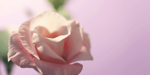 Cirkel Karma Doorbroken Zielsmissie Lichtwerker Nieuwe Tijd Spirituele Transformatie Academie (5)-min Overvloed Lichtwerker Nieuwe Tijd Spirituele Transformatie Academie