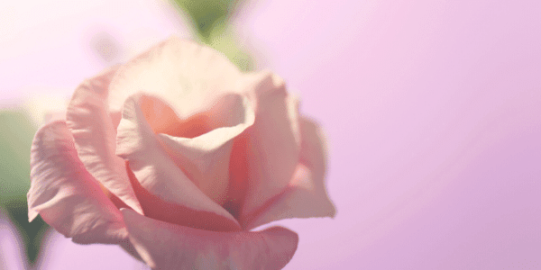 Perfect imperfect Lichtwerker spirituele Transformatie Academie