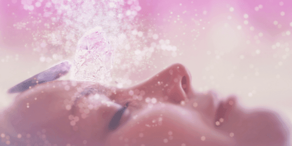 Het nieuwe collectieve veld