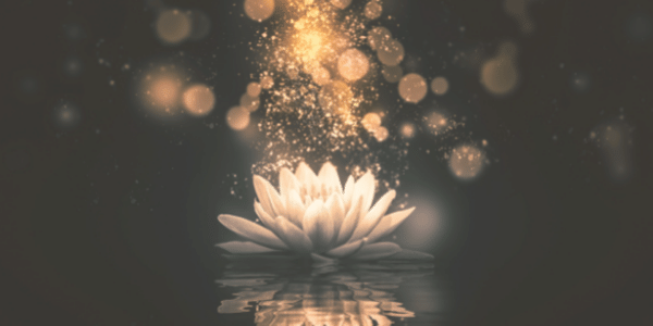 Trots om Lichtwerker te zijnLichtwerkers Spirituele Transformatie Academie-min Trots om Lichtwerker te zijnLichtwerkers Spirituele Transformatie Academie