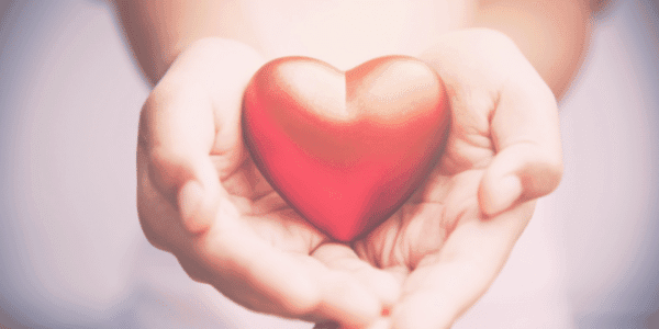 Een succesvol bedrijf als Lichtwerker