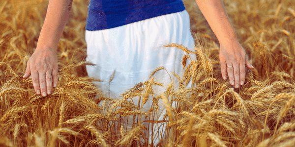 Financiële vrijheid Autonomie Lichtwerker Spirituele Transformatie Academie