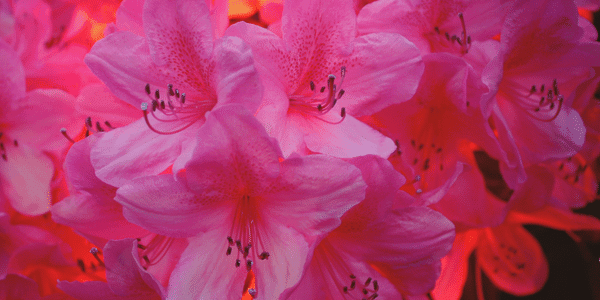 Spiritueel ontwaken en de unieke waarde van je bedrijf