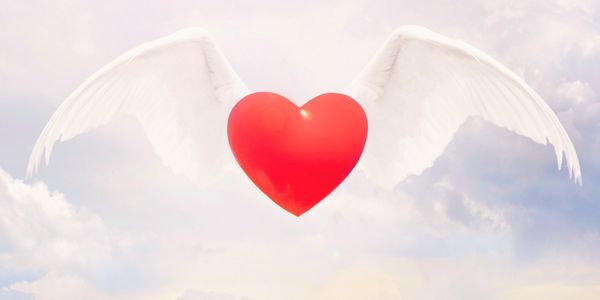 Marketing met hart en ziel Spirituele Transformatie Academie (12) Marketing met hart en ziel