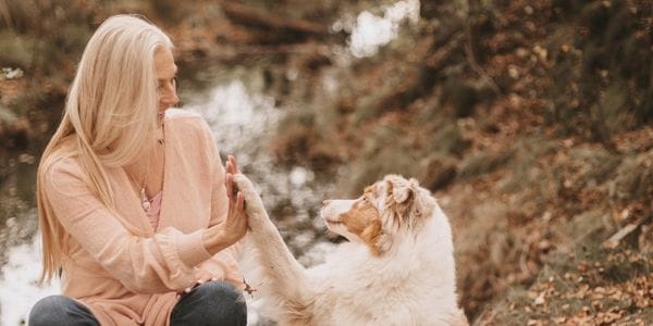 Zo val je op tussen alle andere coaches