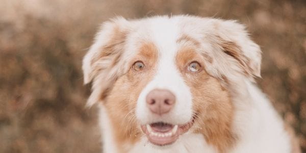 Opvallen tussen andere coaches Spirituele Transformatie Academie (8) opvallen tussen andere coaches