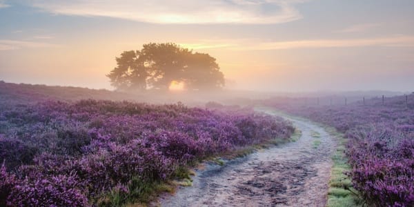 Jouw Lichtkracht moet direct voelbaar zijn