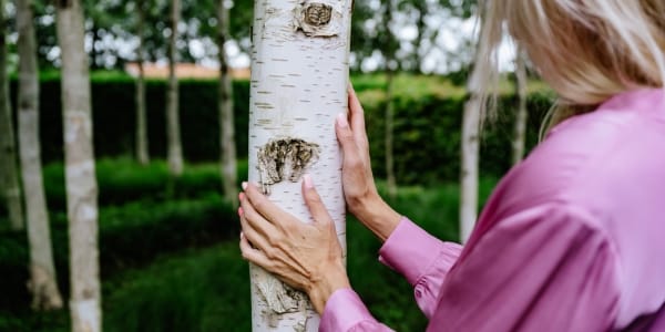 Blog Lichtwerker- Spirituele Transformatie Academie (5) Vrede