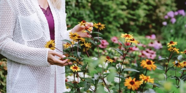 Jouw bedrijf versnelt je spirituele groei
