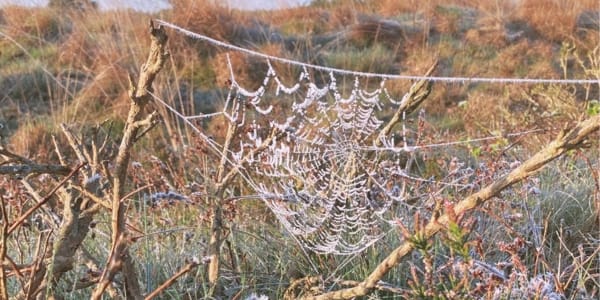 Je hoofd boven het maaiveld uit?